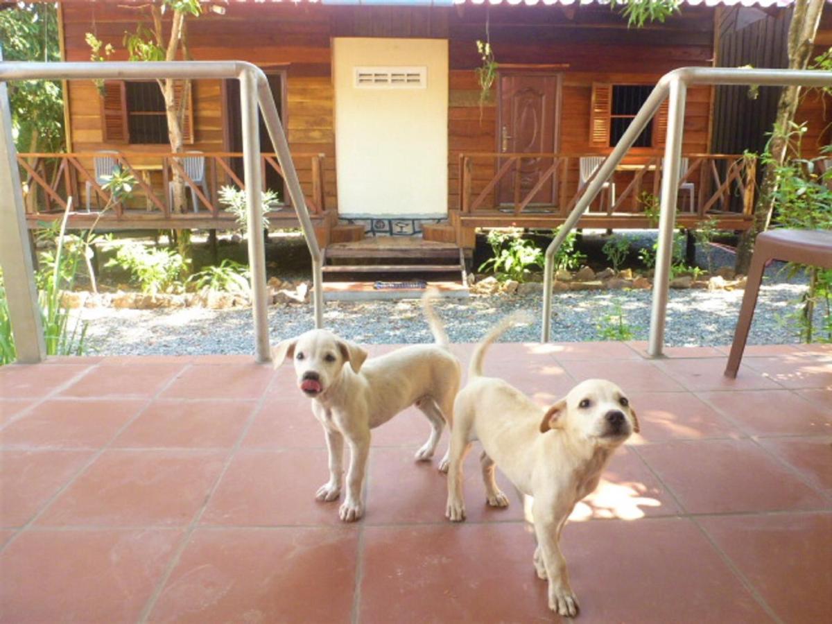 Green Mango Bungalows Kampot Εξωτερικό φωτογραφία