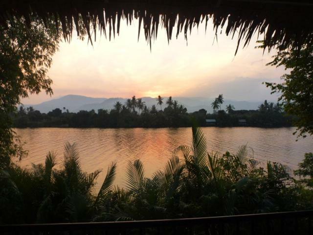 Green Mango Bungalows Kampot Εξωτερικό φωτογραφία